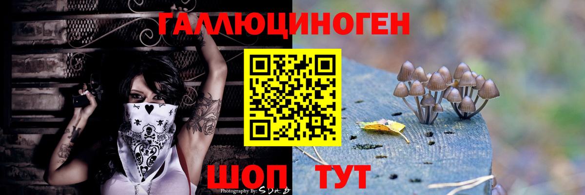 Кандалакша  Галлюциногенные грибы Cubensis  Псилоцибиновые грибы мухоморы  наркота  Вход с VPN 